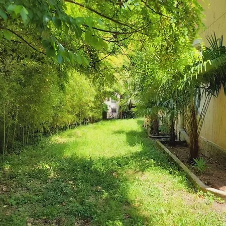 Benjamine - Parc Haut Languedoc *